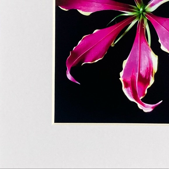 “YOU SPIN ME ROUND” ~ ORIGINAL ART by ~ @lisamichellebeckerphotography - Picture 5 of 13